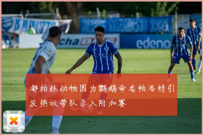 都柏林动物园为鹦鹉命名帕洛特引发热议带队杀入附加赛