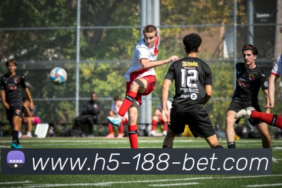 App Interface Preview